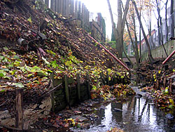 Der Hambkebach zeichnet sich durch wilden Uferverbau bestehend aus Bauschutt, Bongossi, Metall und Folien aus.