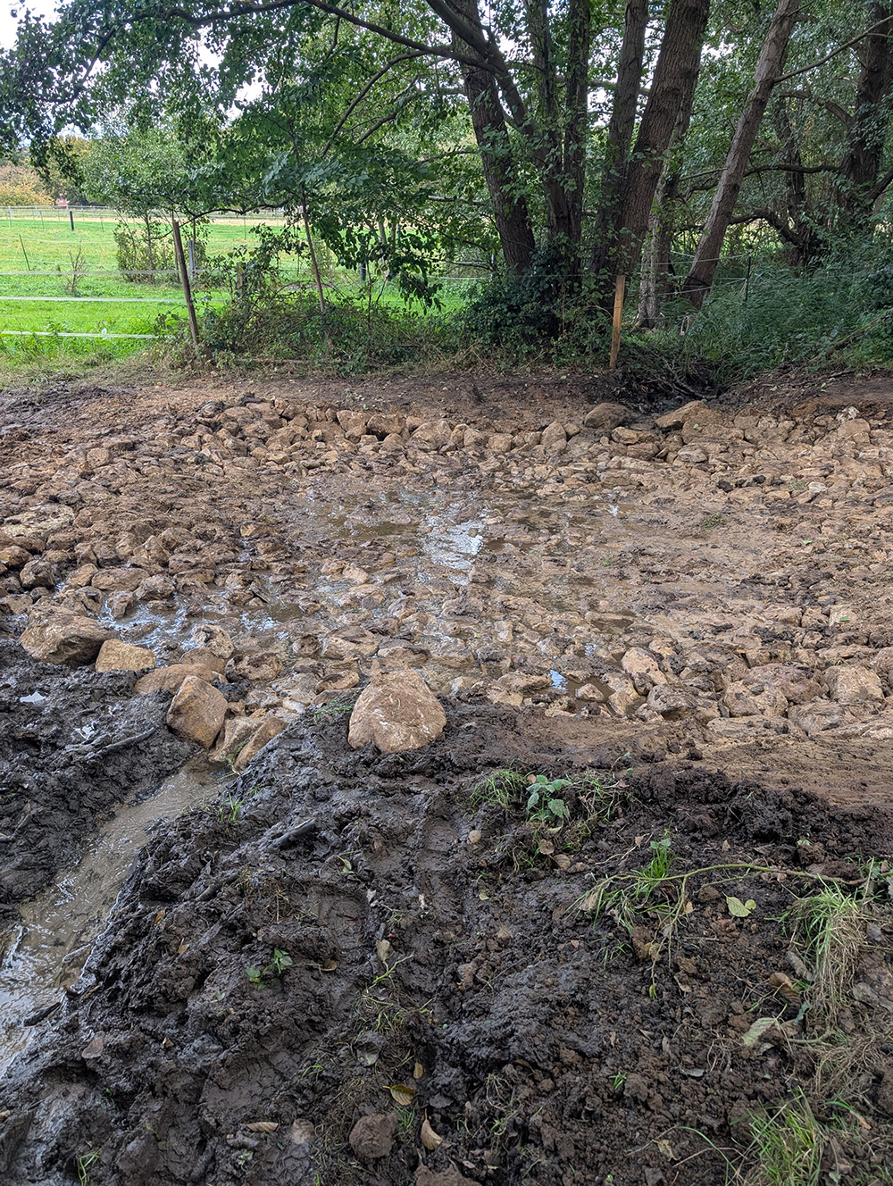 baehrenbusch2025 abb2