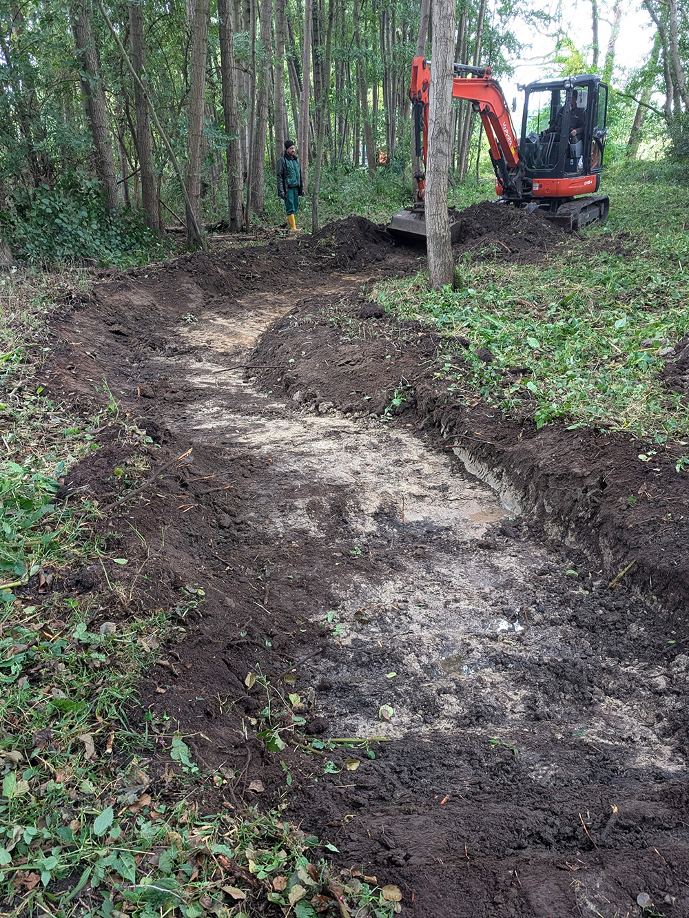 baehrenbusch2025 abb2