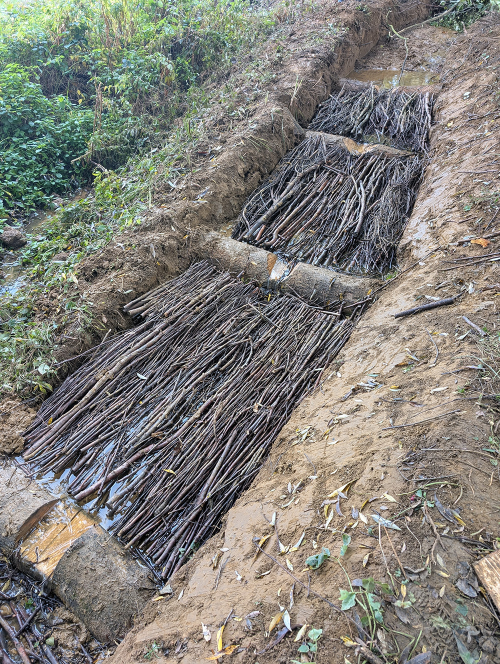 baehrenbusch2025 abb4